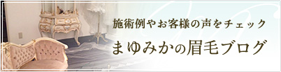 施術例やお客様の声をチェック/まゆみかの眉毛ブログ